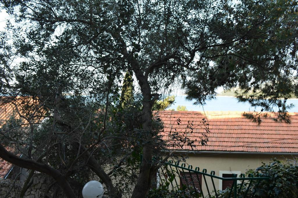 Tribalj Apartments Petra חדר תמונה