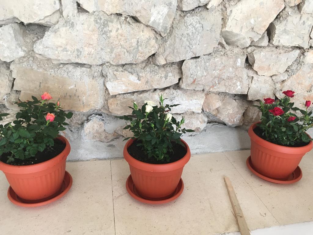 Tribalj Apartments Petra מראה חיצוני תמונה